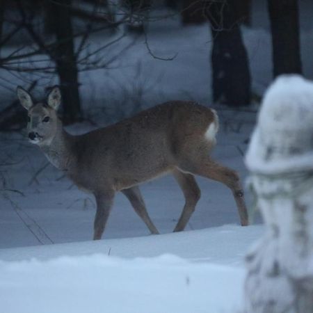 Kompleks Male Dolomity Hucisko  Kültér fotó