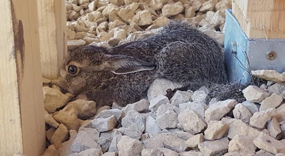 Kompleks Male Dolomity Hucisko  Kültér fotó